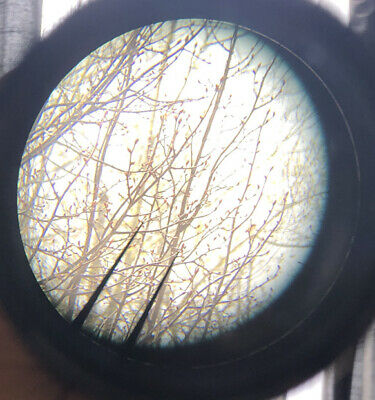 0 BNickel RB scope.1613855073.jpg