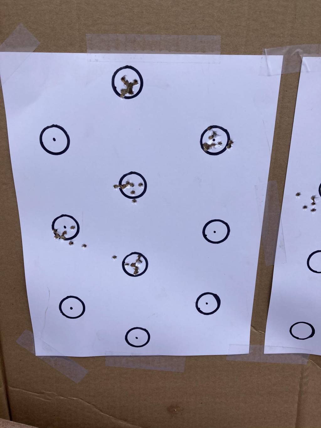 027349EF-271E-49D8-A643-FF692EF5DF6F.1606169325.jpeg