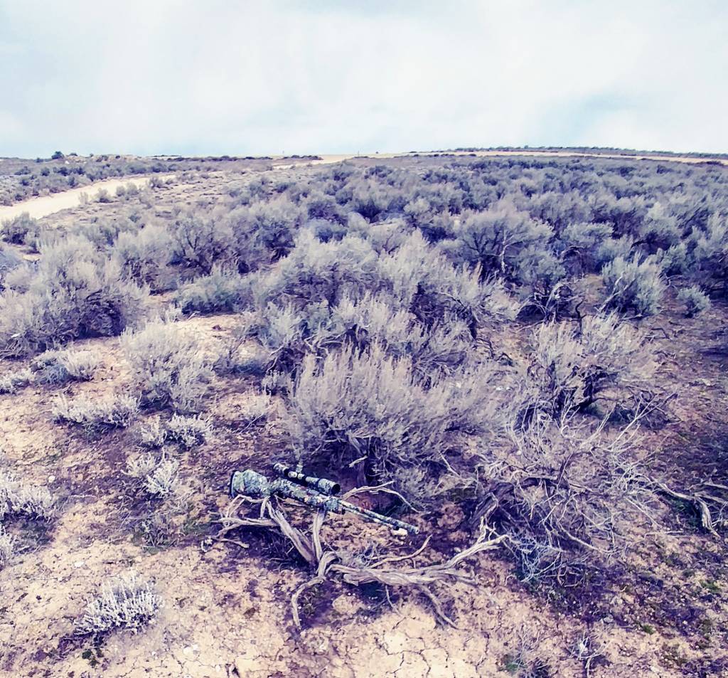 0313221410h_HDR2.1647207422.jpg
