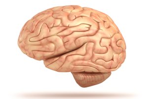 046bfe6bc753e62951b450b67000ee3e.jpg