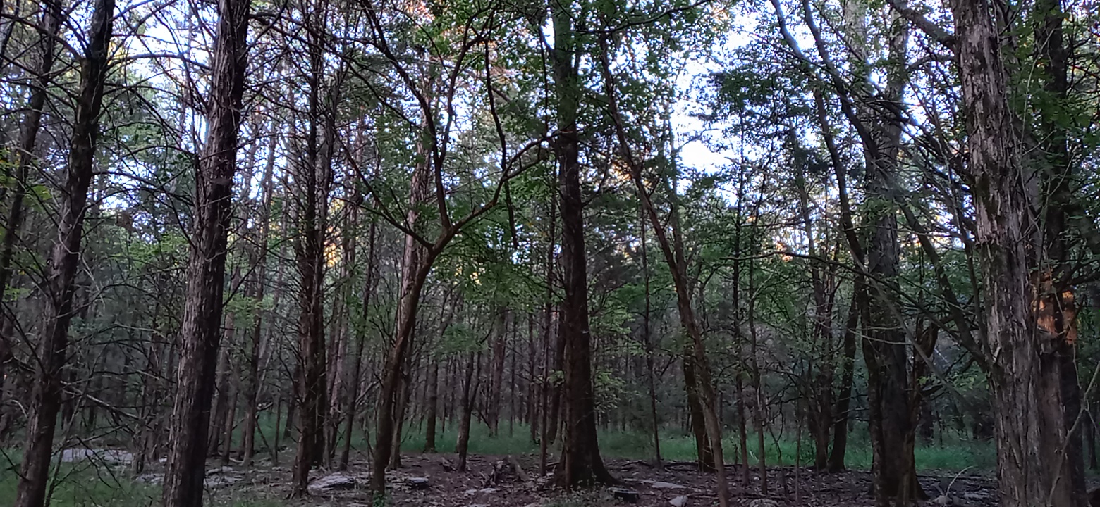 0924221753_HDR.jpg