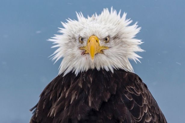 0F14D26C-0A4F-46A0-A397-8ED31F4CCE8E.1609784231.jpeg