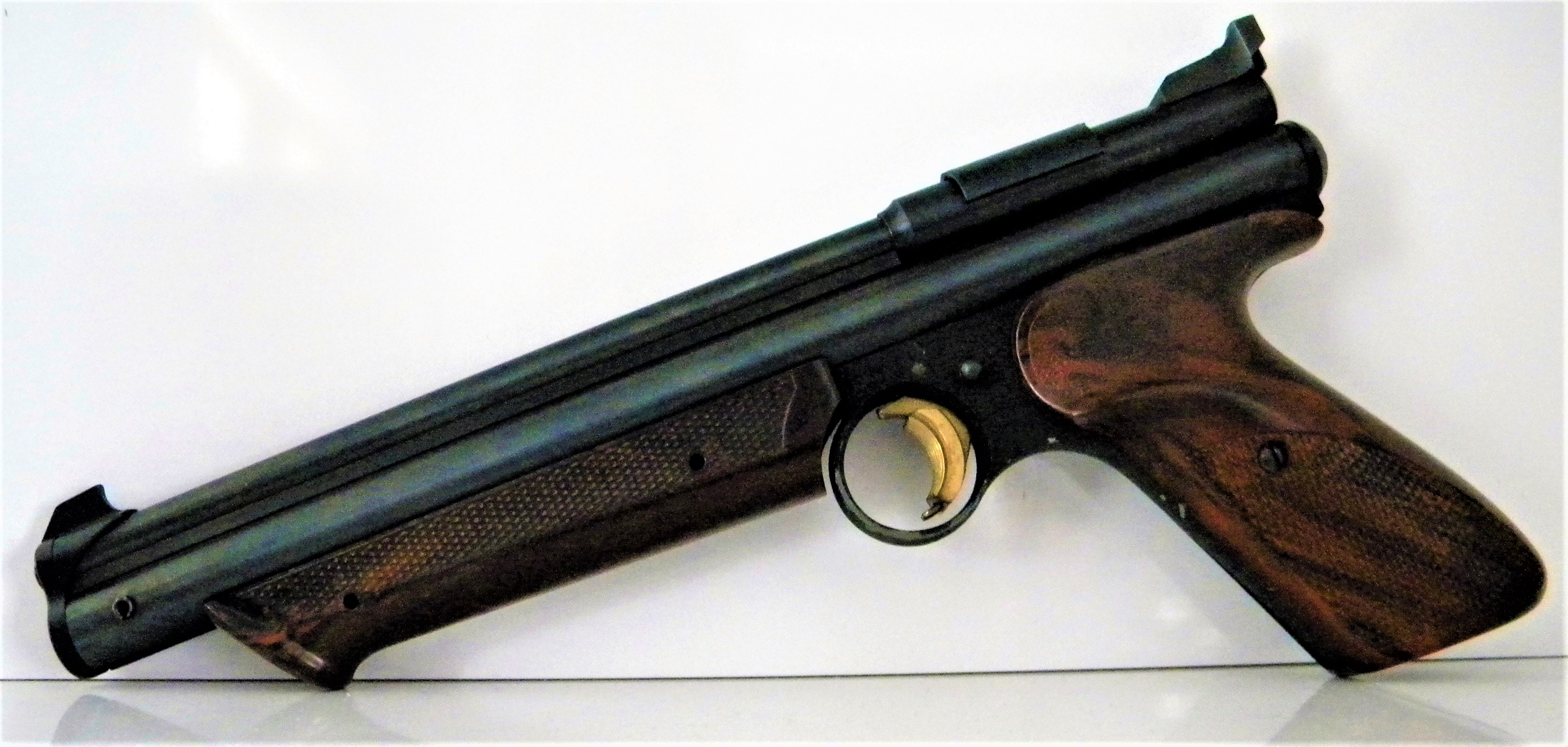 1 Crosman 1300.JPG