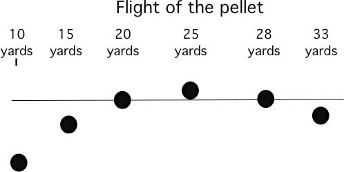 10-28-19-04-Pellet-flight1.1601650829.jpg