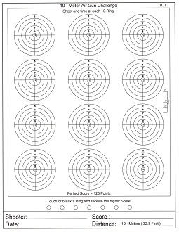 10-Meter Air Gun Challenge.5.jpg
