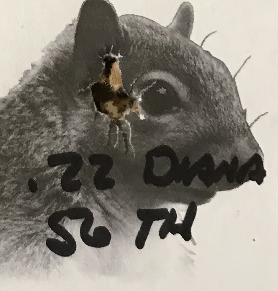 10 shot group.03.05.21.1614966034.jpg