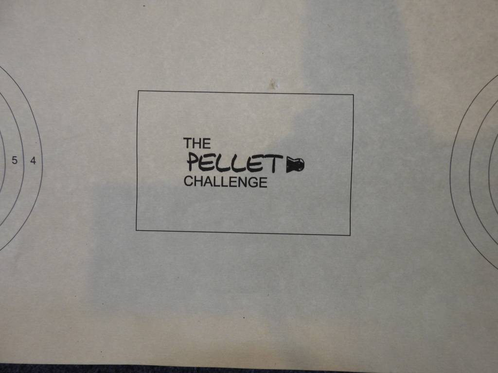 100 yard pellet.1604609974.JPG