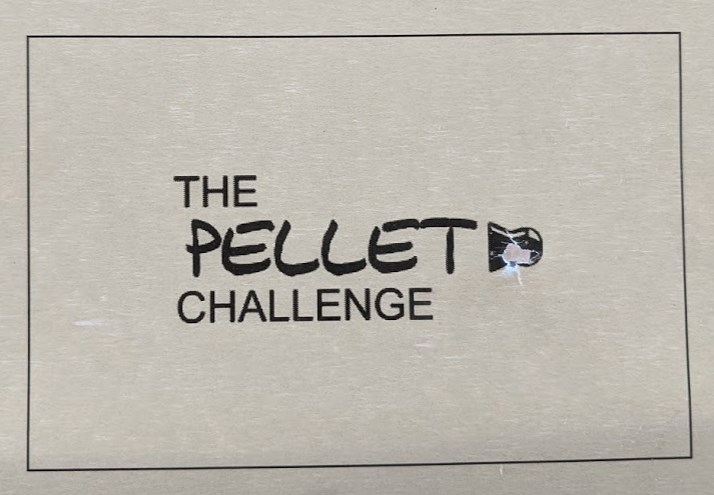 100 yard pellet challenge.1606027513.jpg