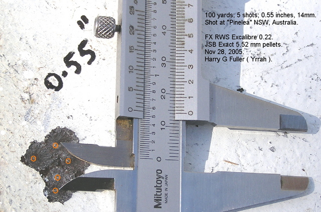 100 yards FX RWS Excalibre Tarantula, FX2000.1649610672.jpg