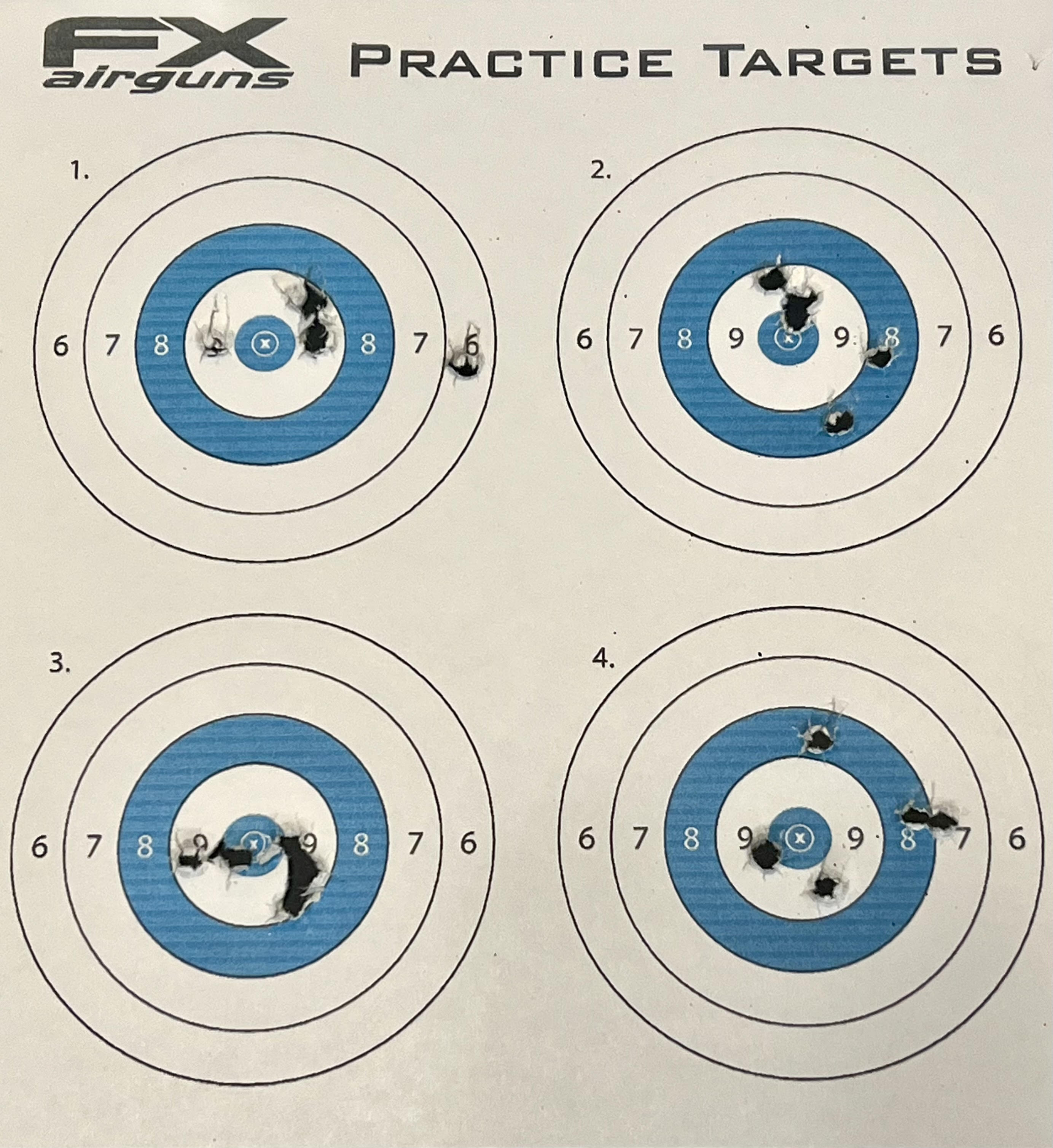 100 yards with AEA 45 gr pellets.jpg