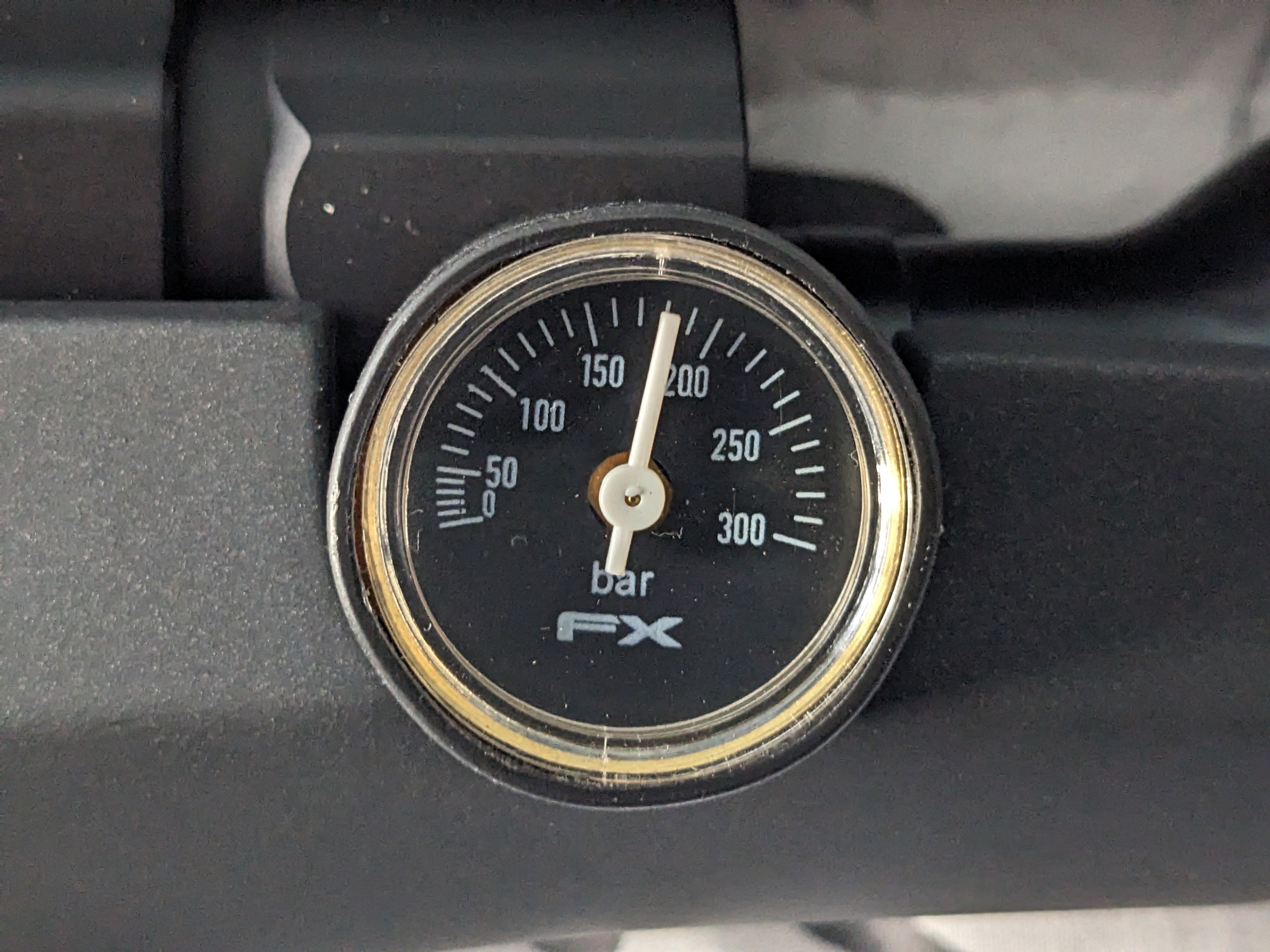 1000008197.jpg