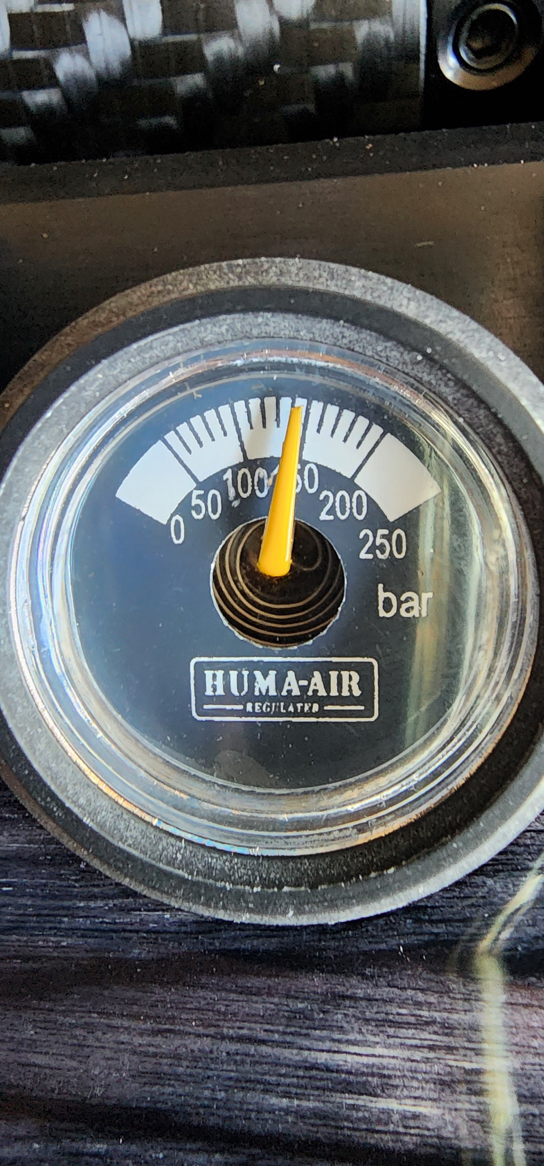 1000011061.jpg