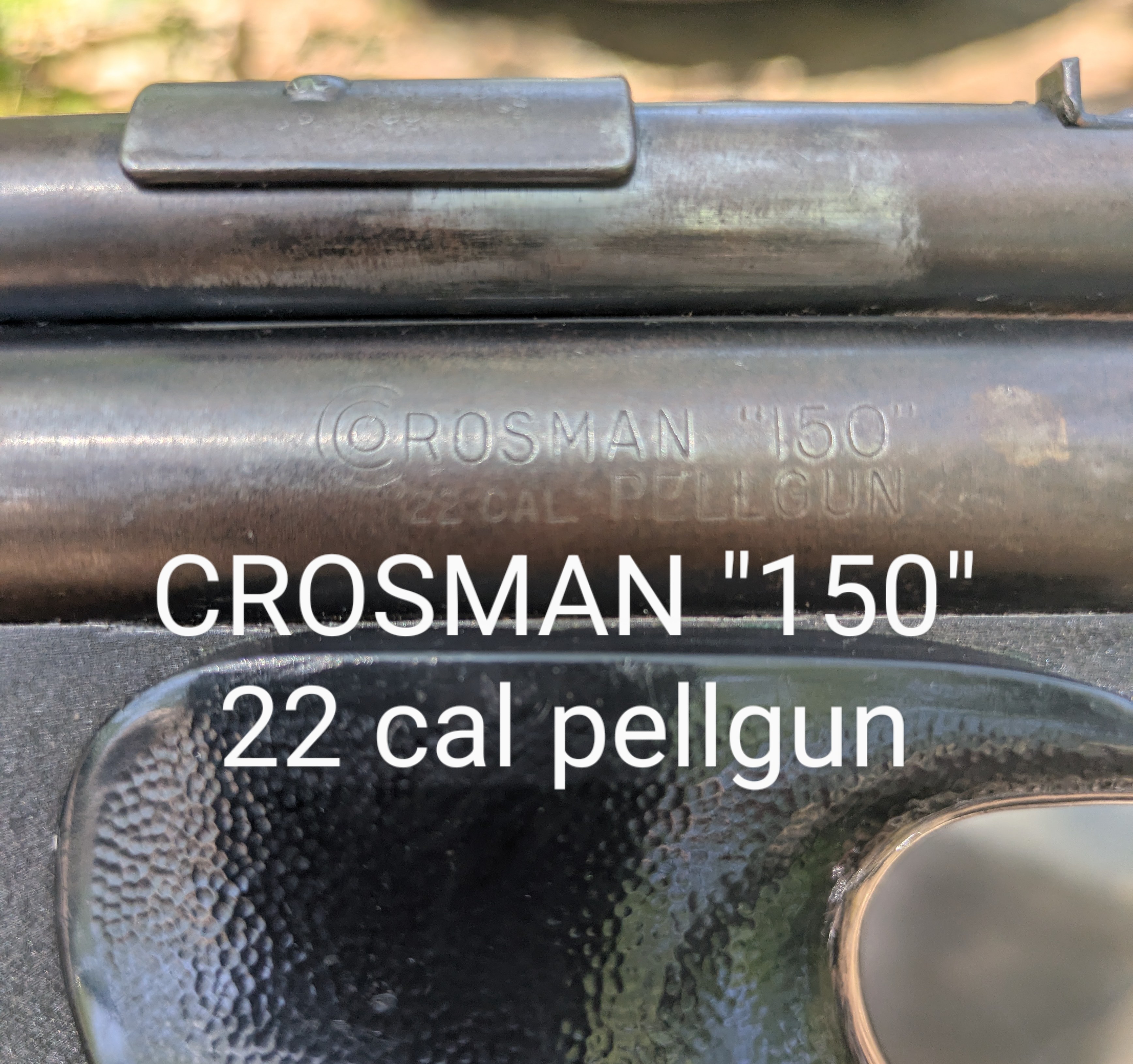 1000011106.jpg