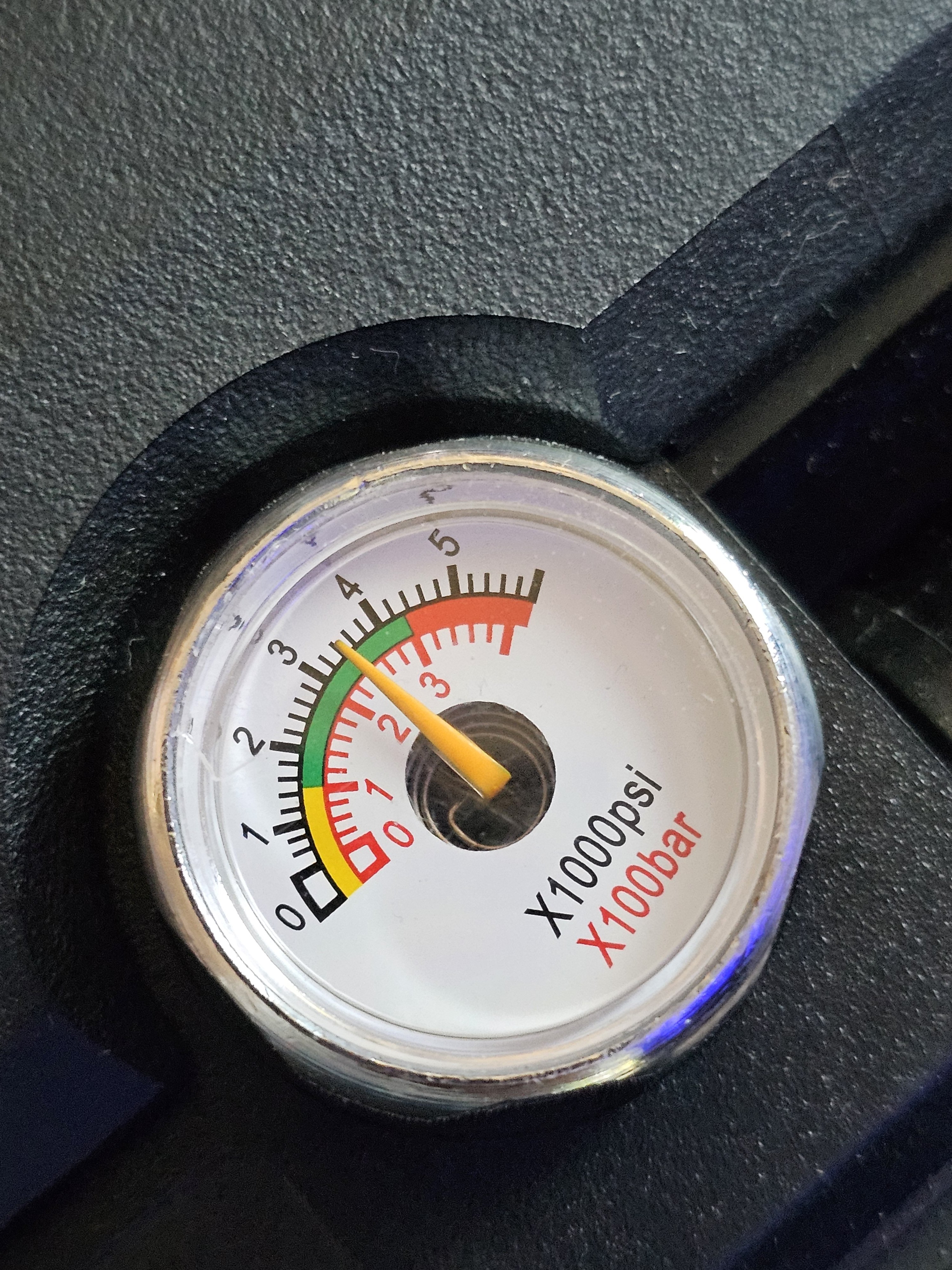1000026253.jpg