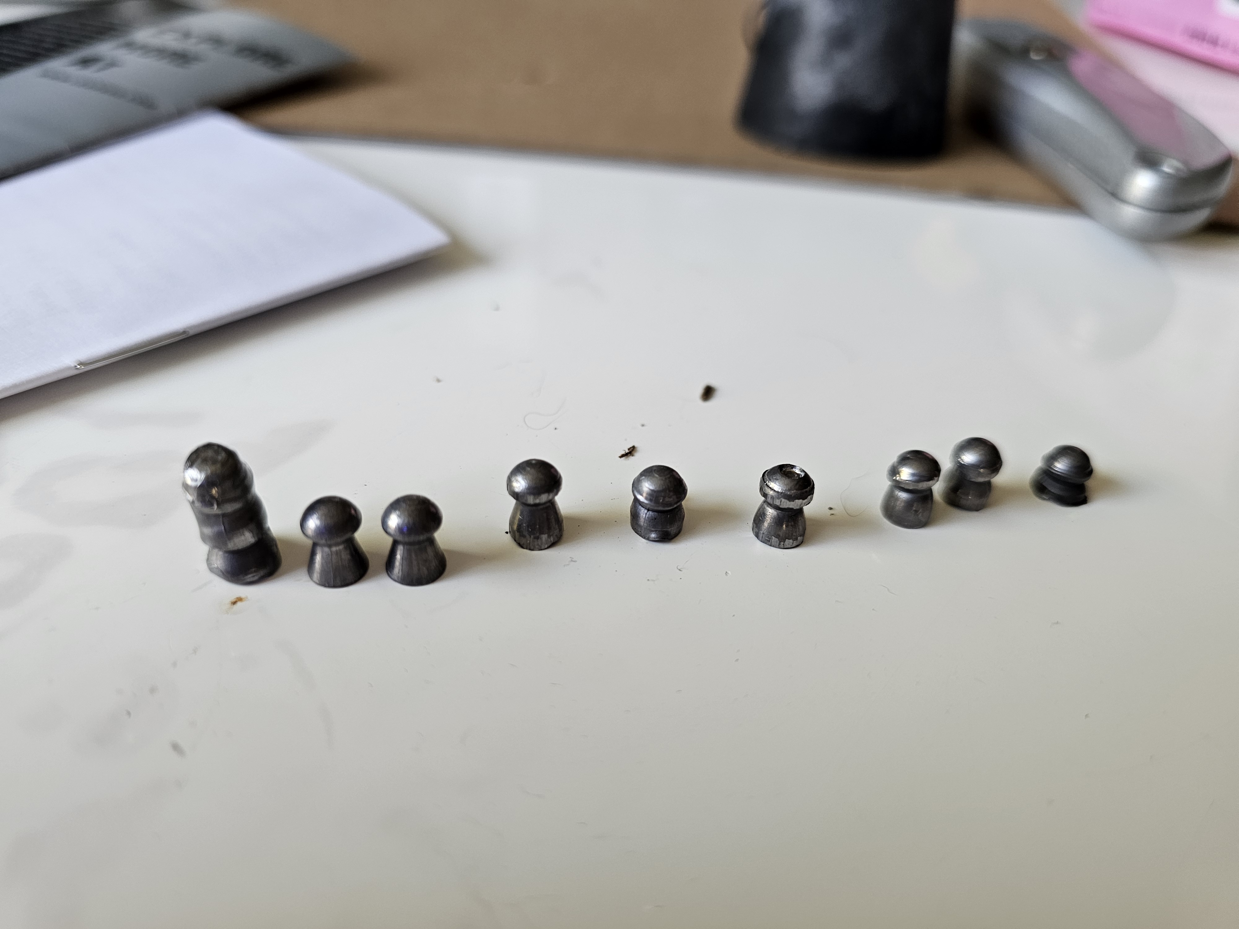 1000026389.jpg