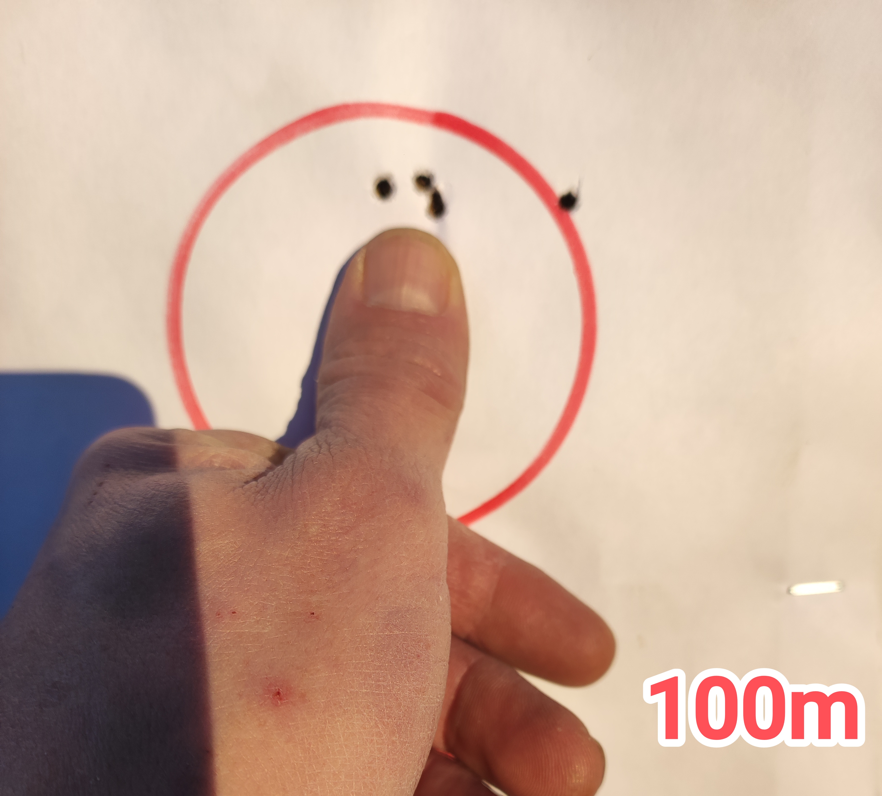 1000066435.jpg