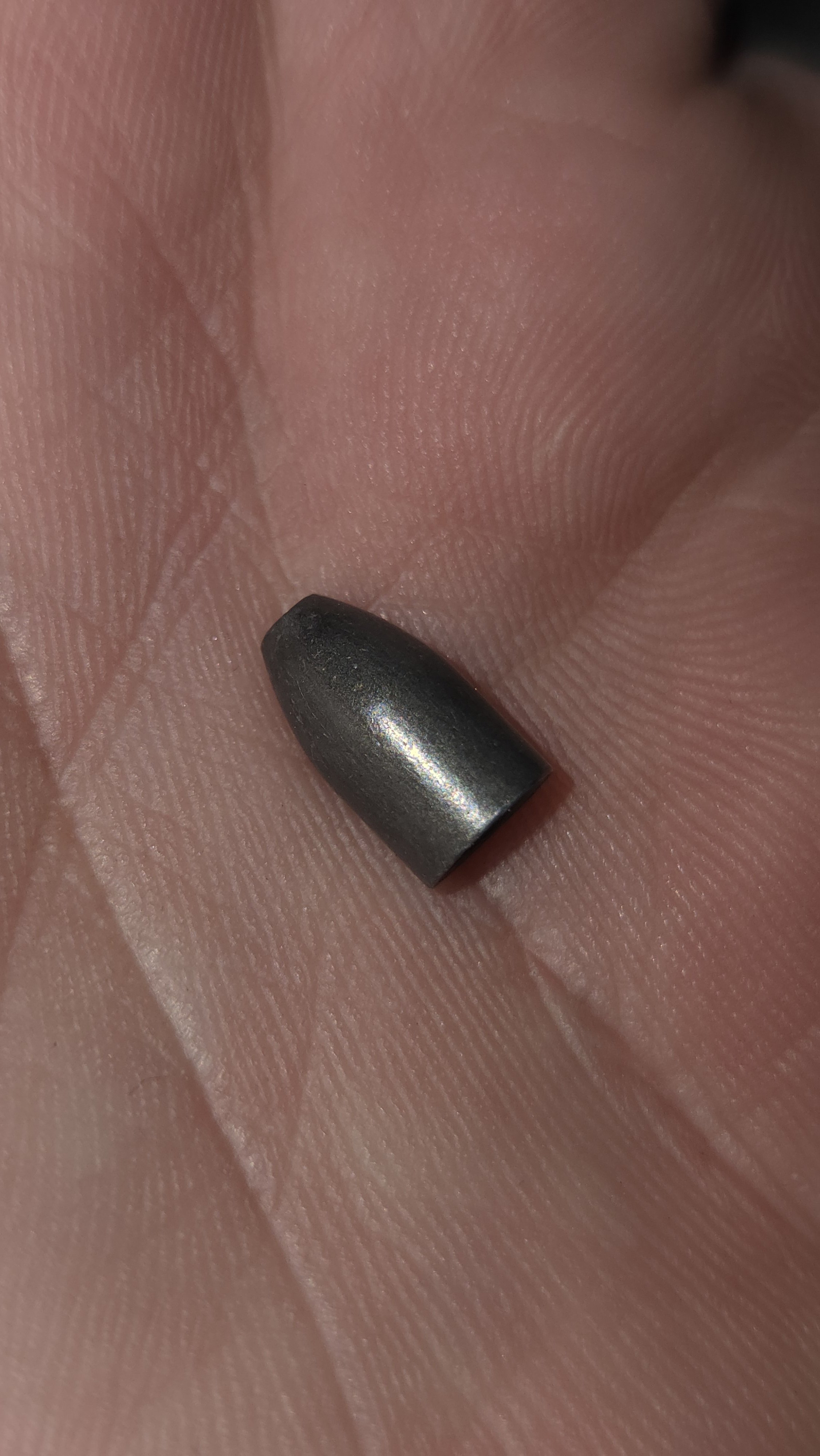 1000082870.jpg
