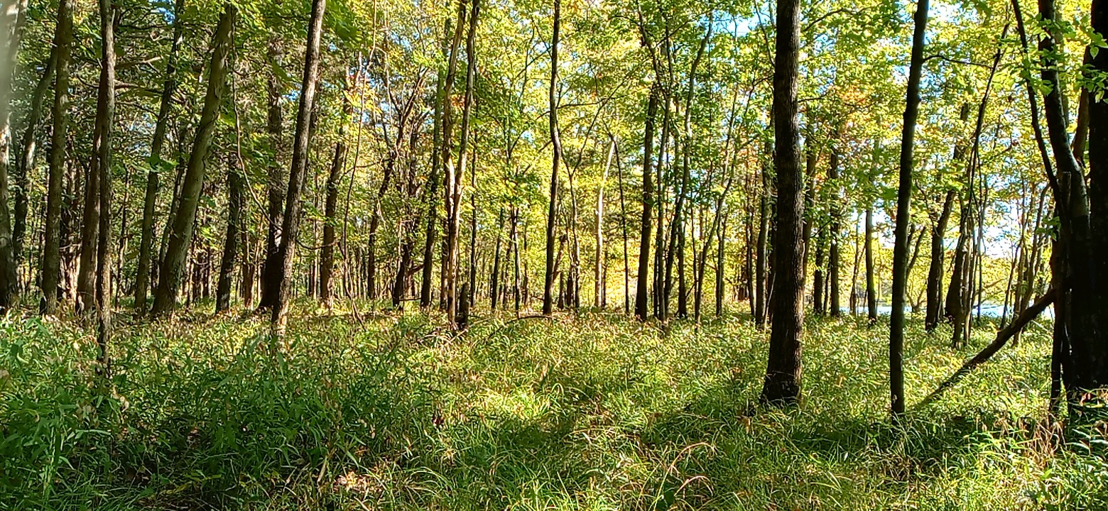 1001220930_HDR.jpg