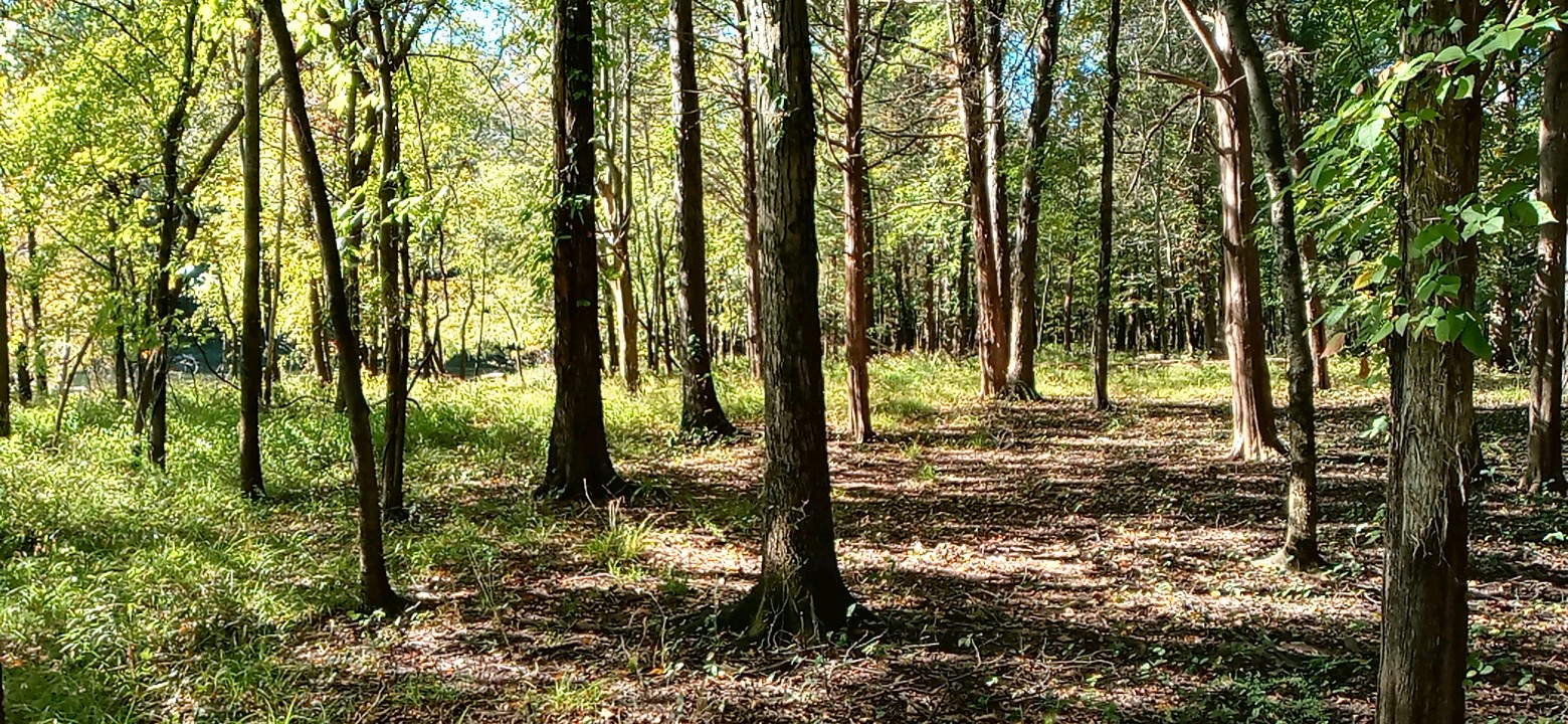 1001220934_HDR.jpg