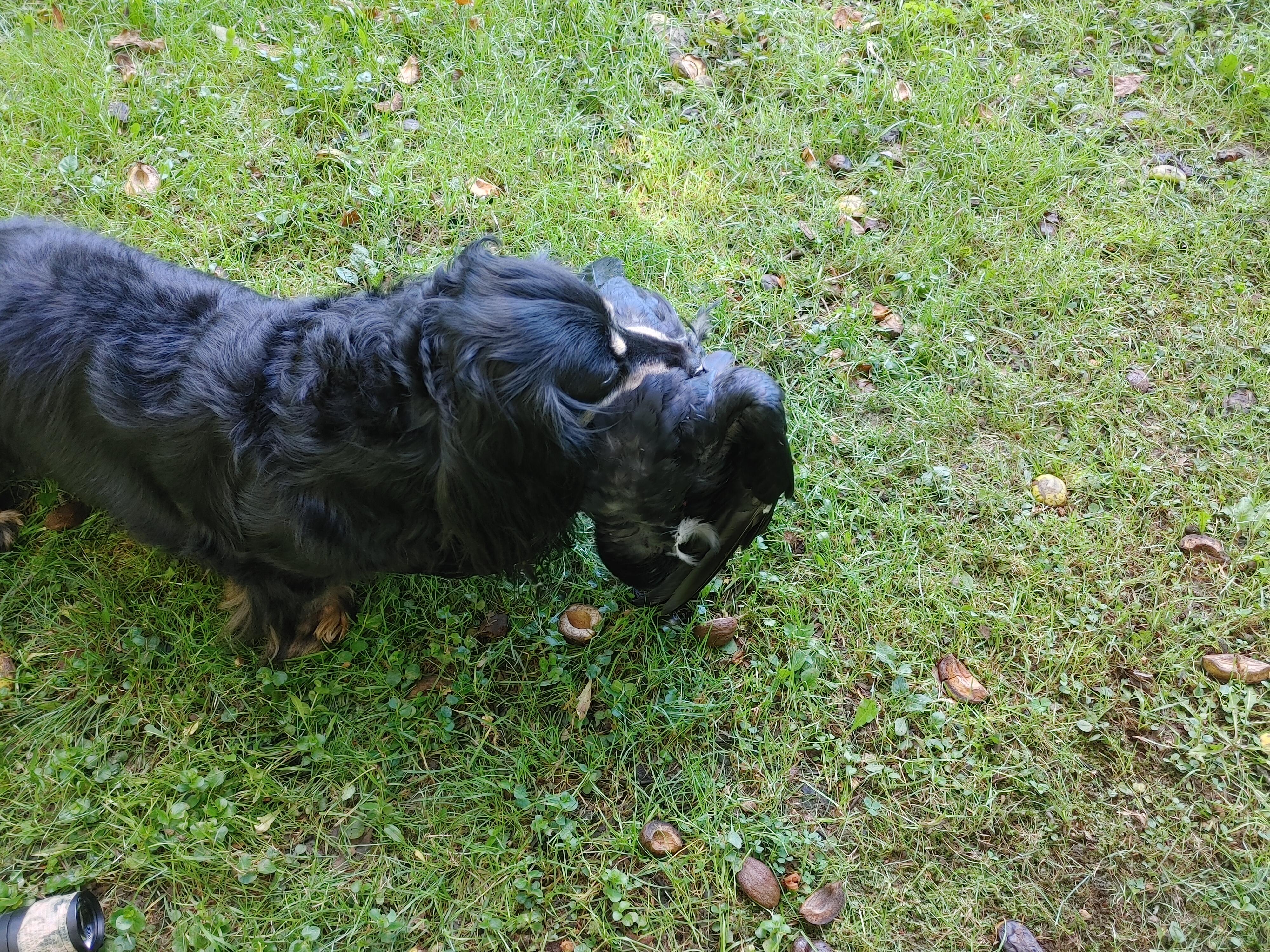 1006211316a_HDR.jpg