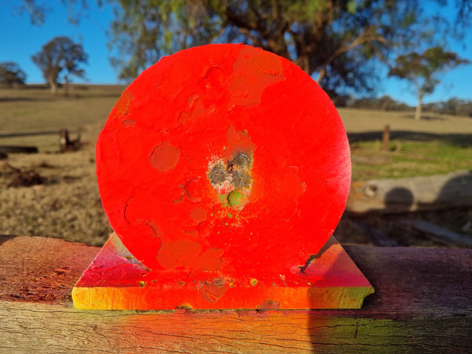 100yds-H&N-36gr-......jpg
