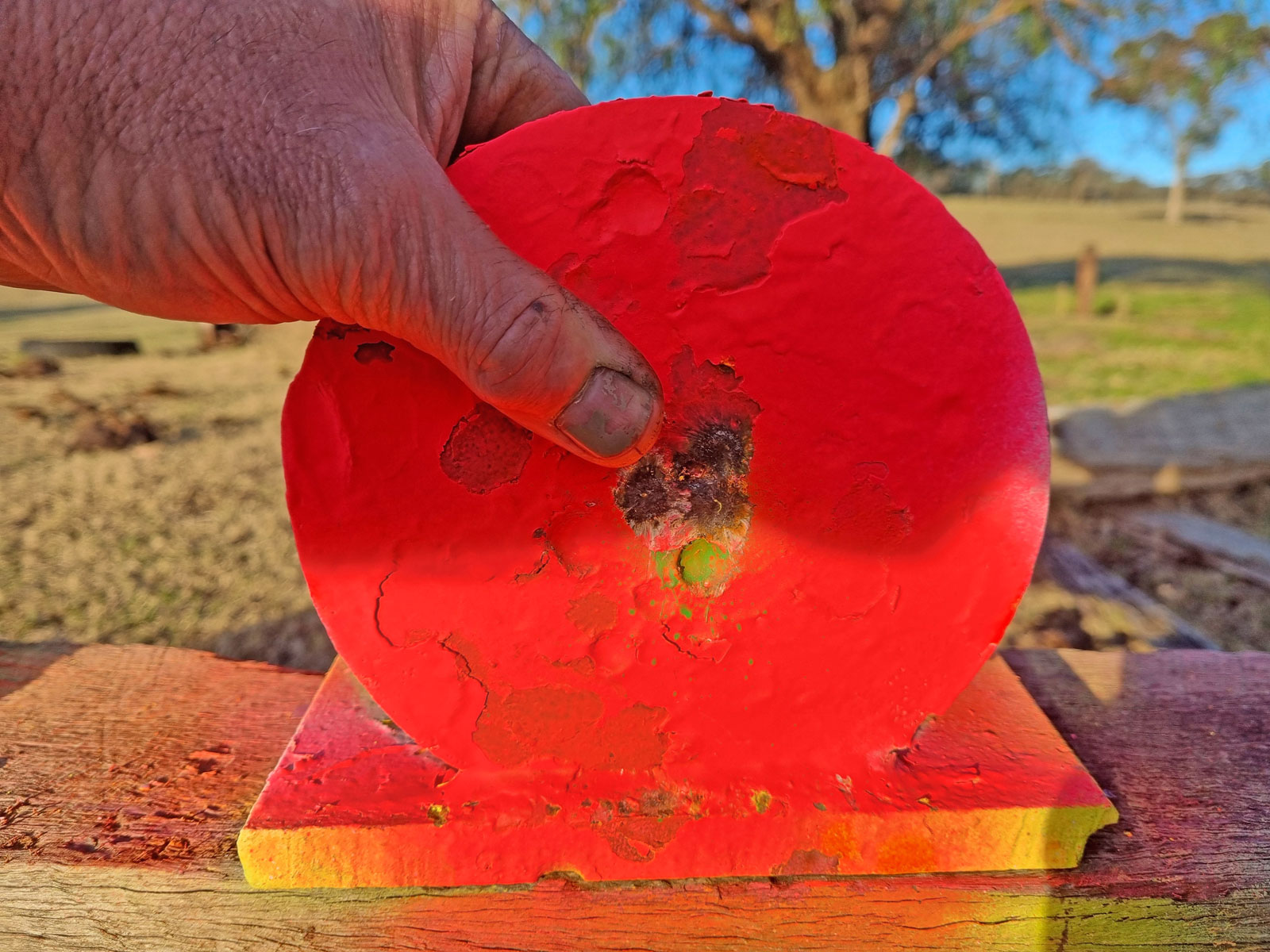 100yds--H&N-36gr.jpg