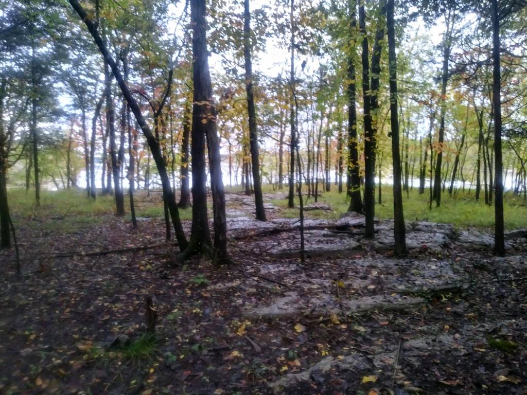 1011201750e_HDR.1602463917.jpg