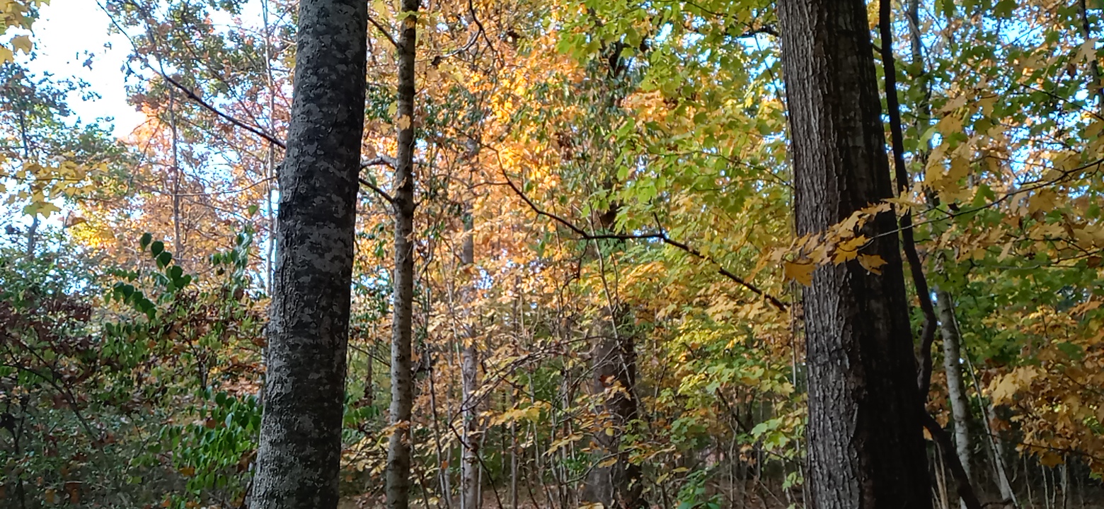1022220747_HDR.jpg