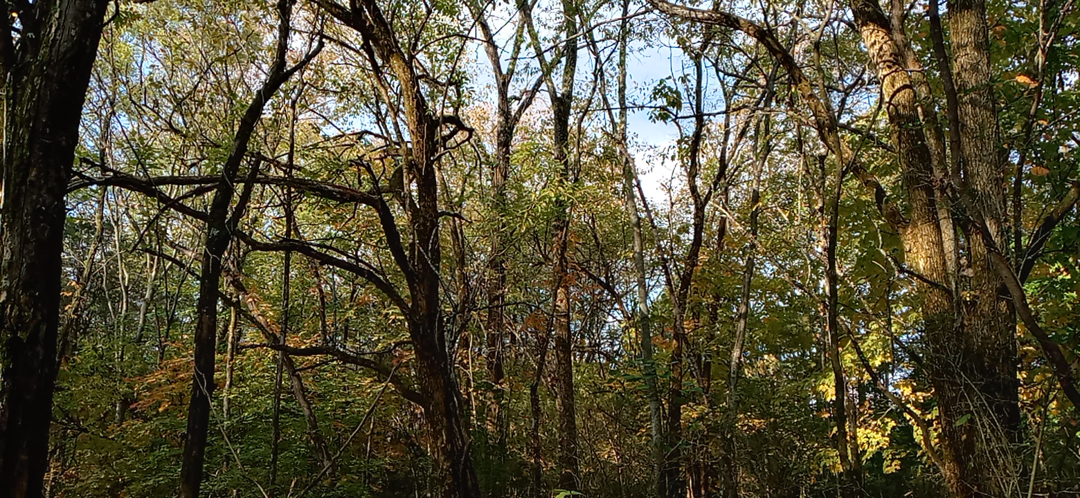 1022220850a_HDR.jpg