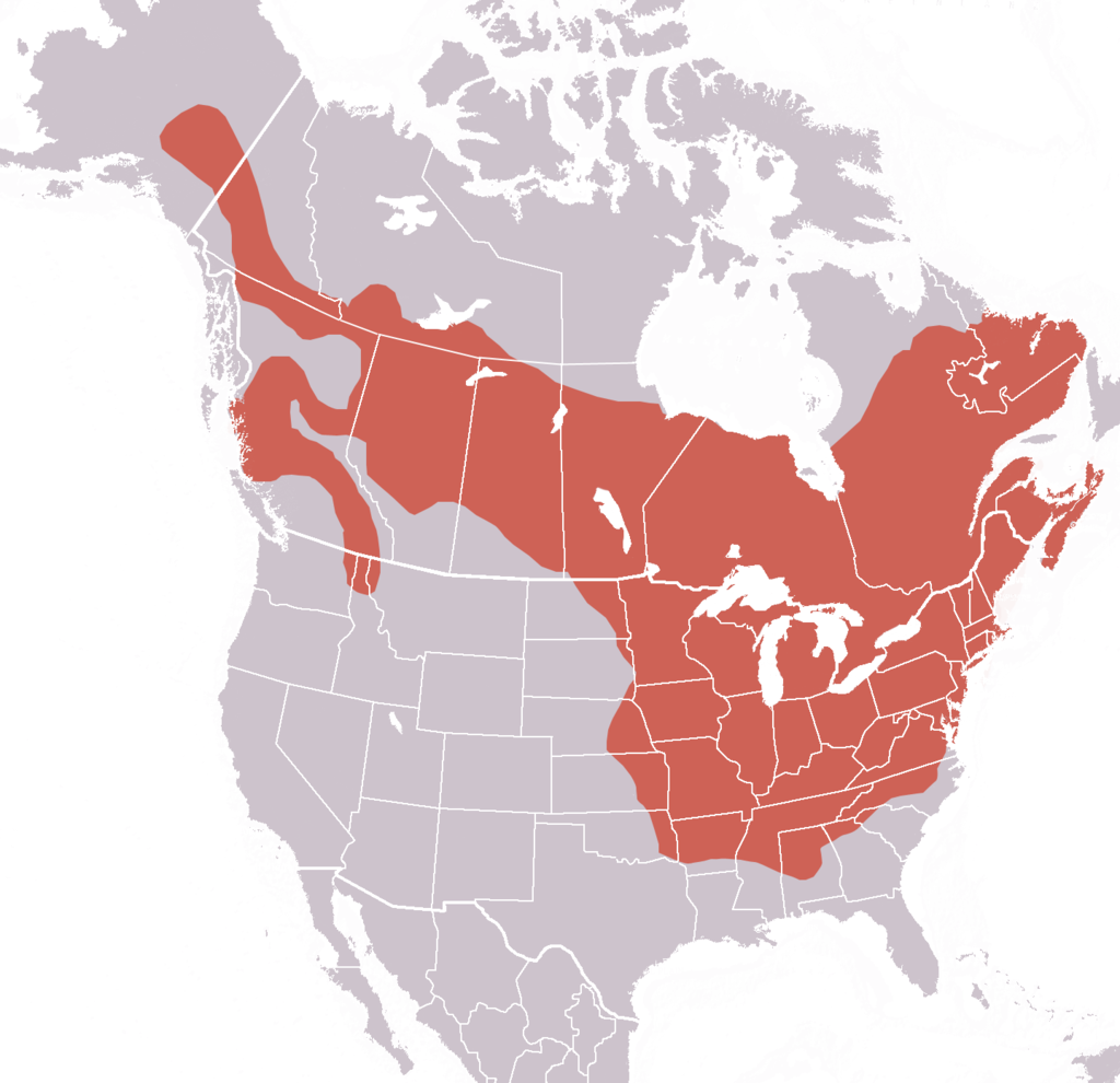 1024px-Marmota_monax_range.png