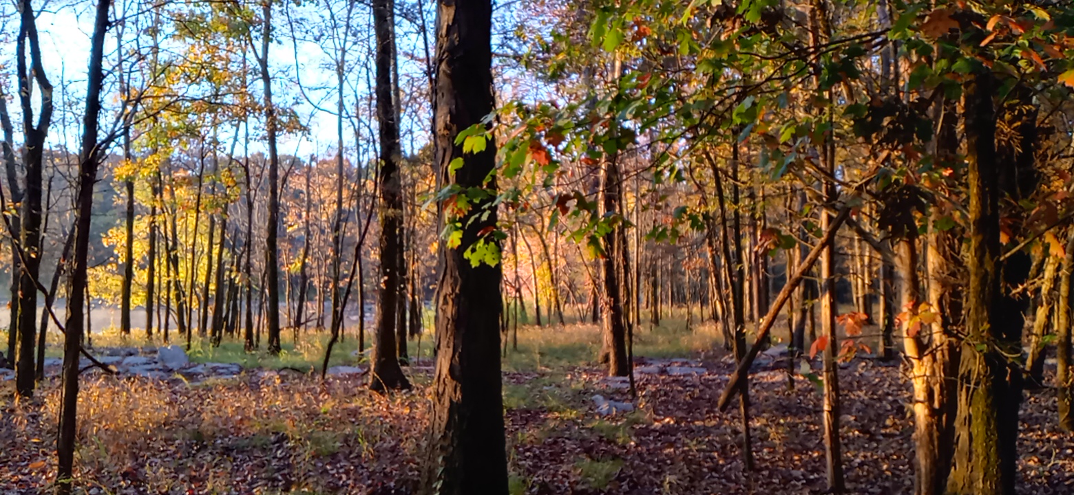 1029220721_HDR.jpg