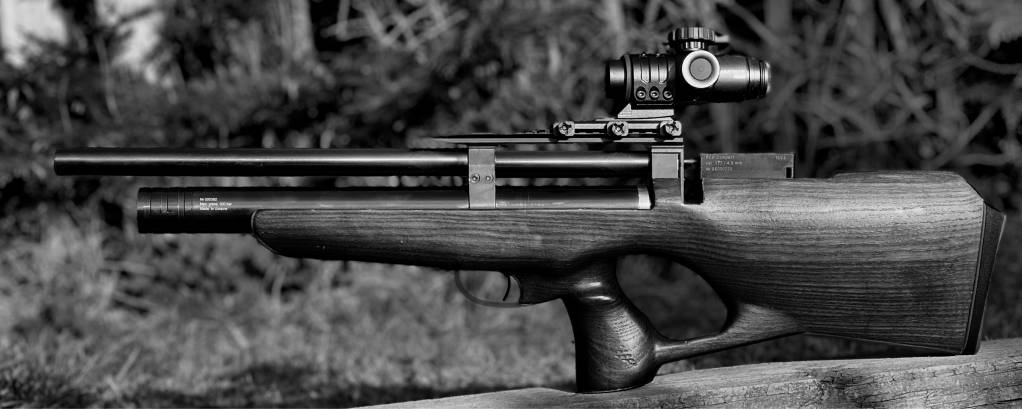 10gun.1621033295.jpg