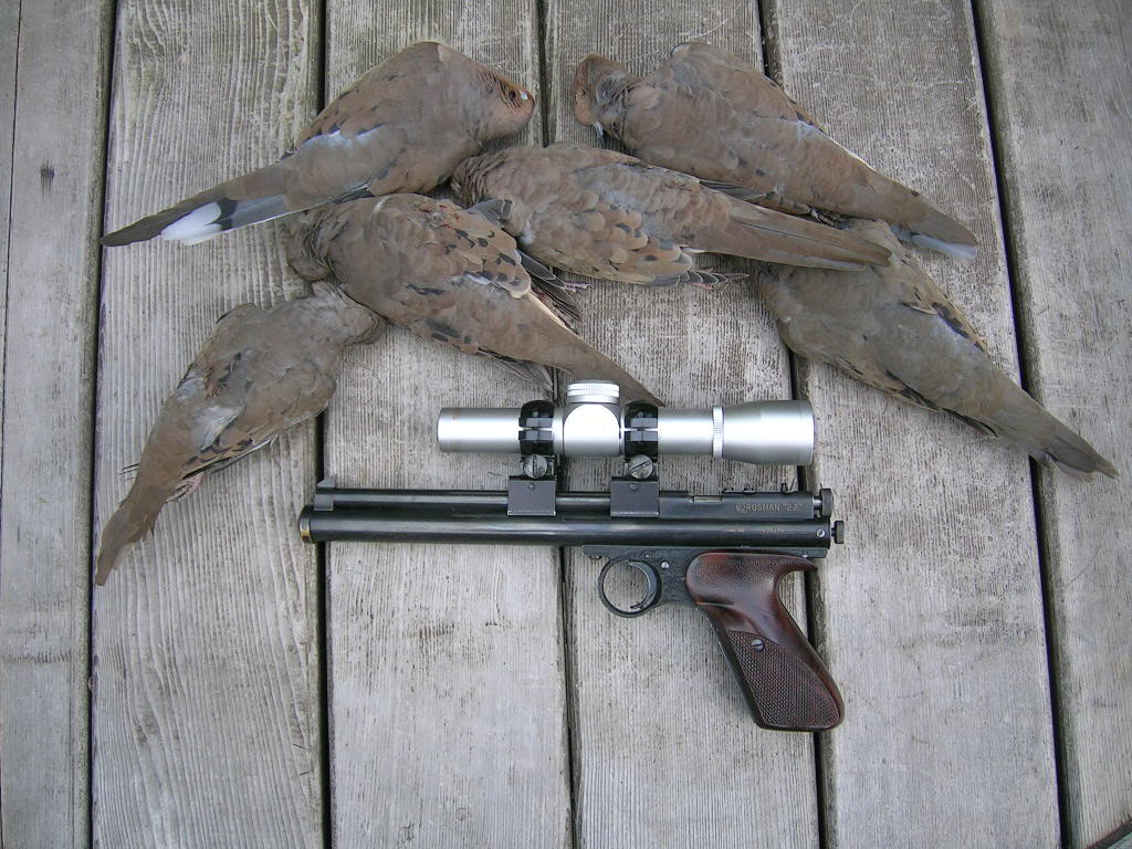 112dove.jpg