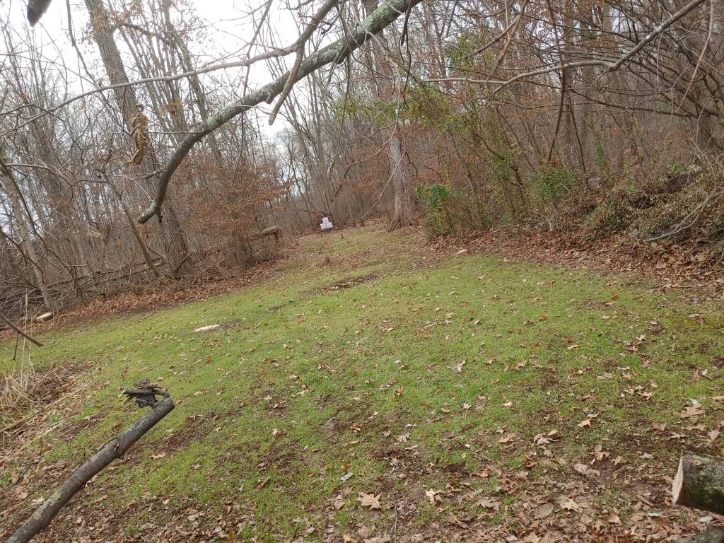 1202211248a_HDR.1643527632.jpg
