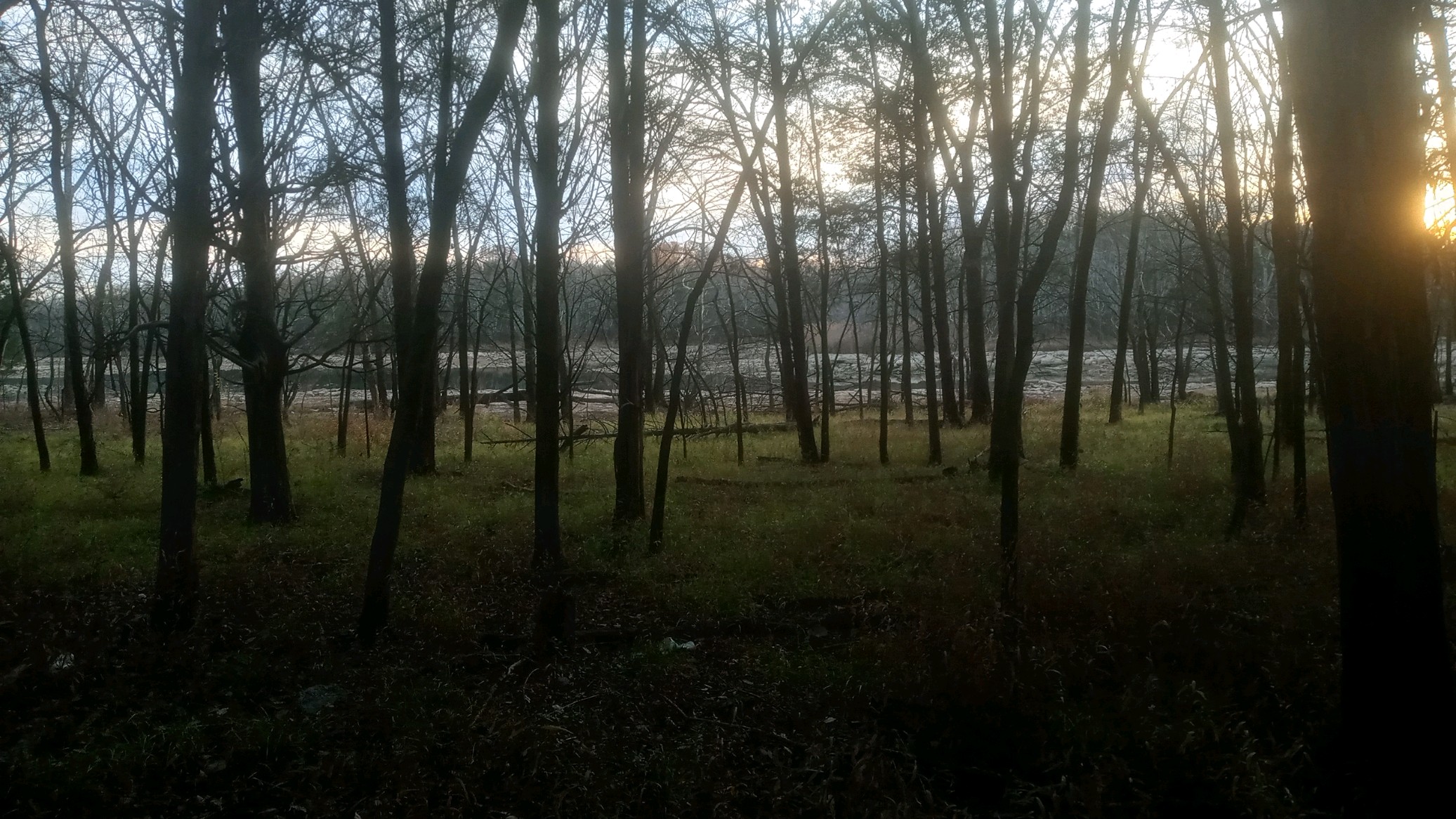 1203231620_HDR.jpg