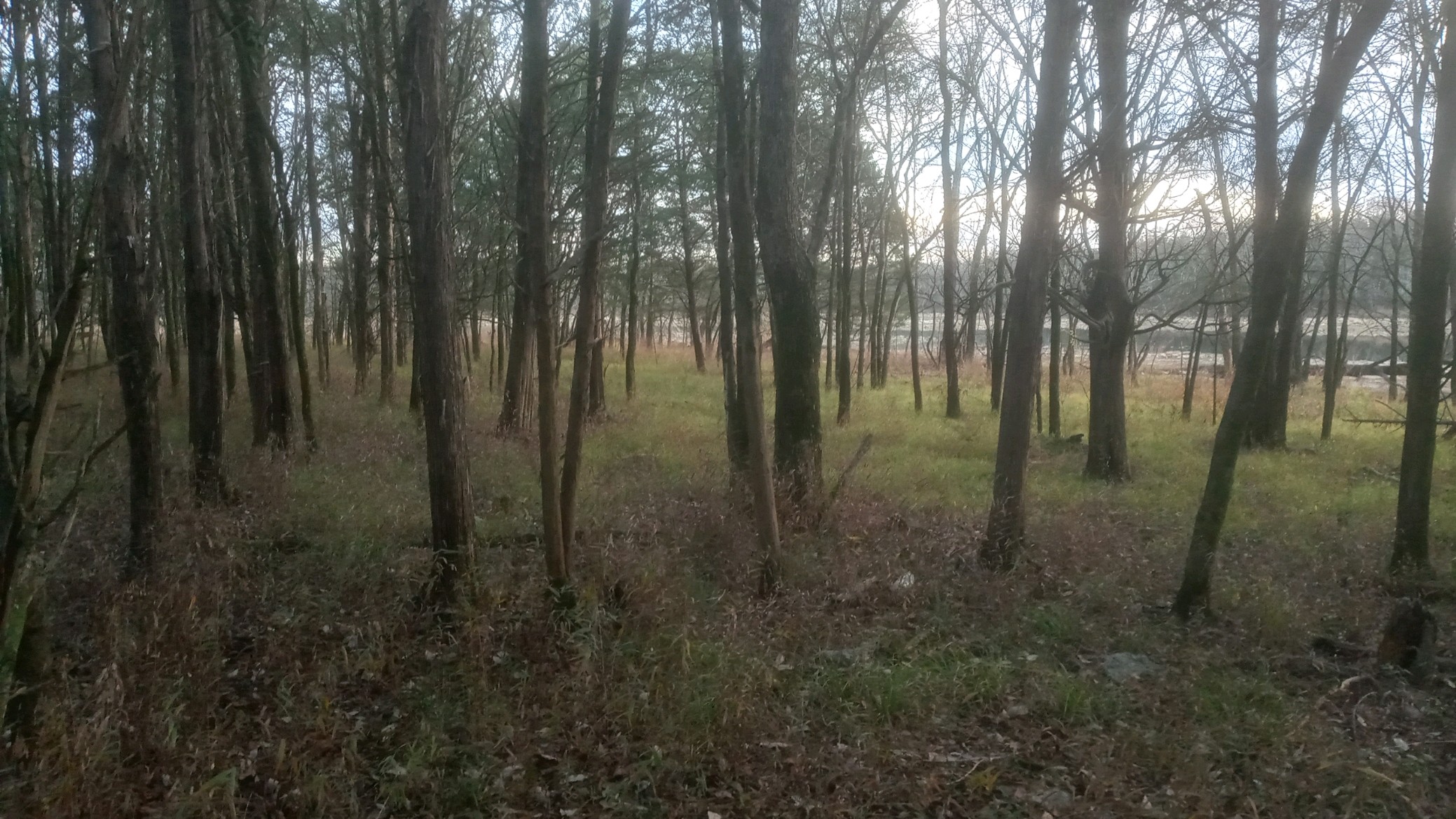 1203231621_HDR.jpg
