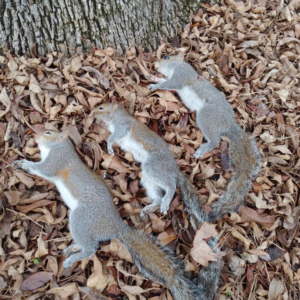 1231211707.1641745074.jpg