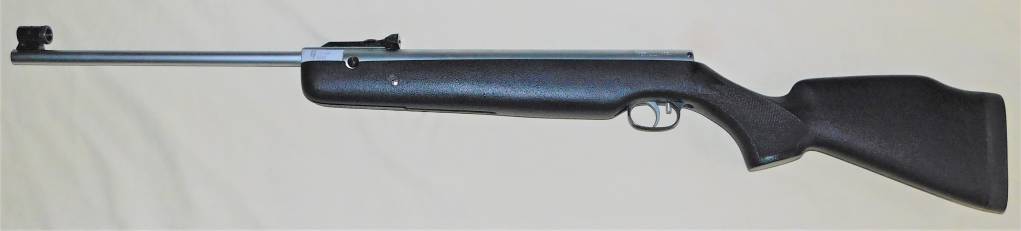 124 Beeman R1 AW.1627765695.JPG