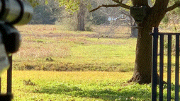 12C047B6-6CFC-47F7-8310-C1DDE7D01193.1612175683.gif