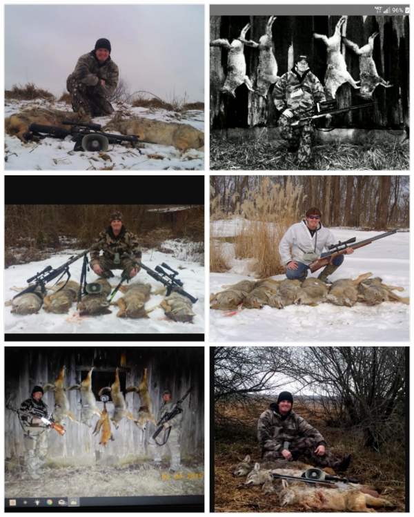 1523950165_15405711345ad5a255def740.57723380_180417_032915_COLLAGE-1.png