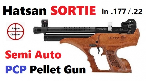 1524323231_4944605965adb539f644da5.88692861_2airgun.hatsan.sortie-w_1.jpg