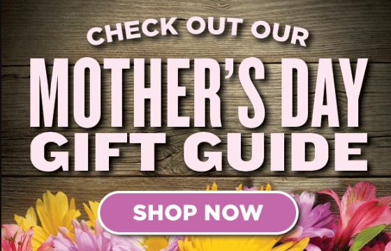 1525706195_3195005815af06dd38aa837.53528034_mother.PNG