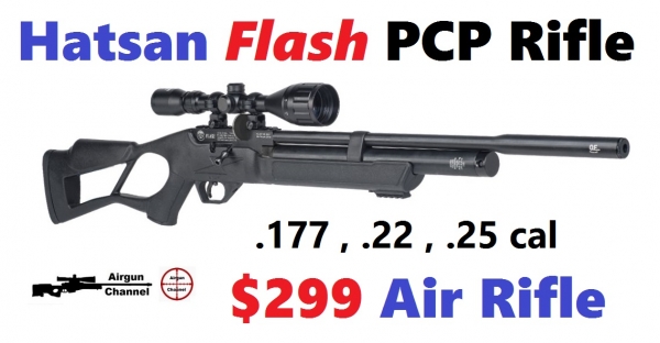 1525746740_19181072225af10c349b24b9.06750152_hatsanflashairrifle.jpg