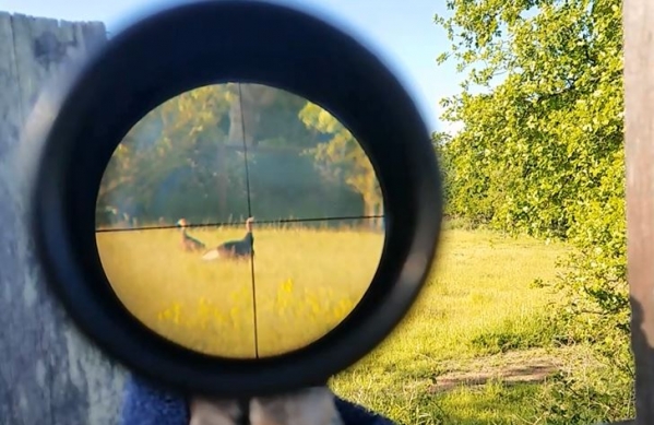 1526000851_9206276875af4ecd34542f8.46597363_Capture554.JPG