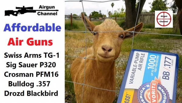 1527451947_1601565185b0b112b4a7cf9.08843275_capturegoat.JPG