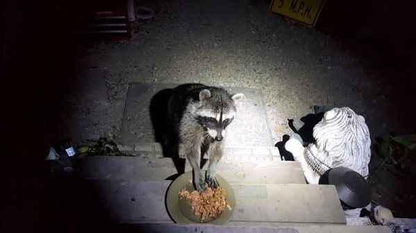 1528425516_19622984365b19ec2c20ca25.52334664_Capture29.JPG