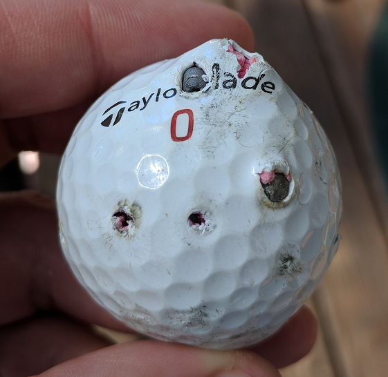1529545781_1420534115b2b0435682c71.42676320_golfball target.png