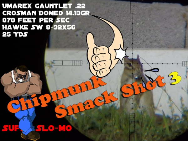 1530676425_9697348365b3c44c951dc63.29136896_chipmunk_smackshot3.jpg 1530676425_9697348365b3c44c951dc63.29136896_chipmunk_smackshot3.jpg