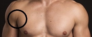 1530733127_20919018105b3d22473d8220.39976075_male shoulder.jpg