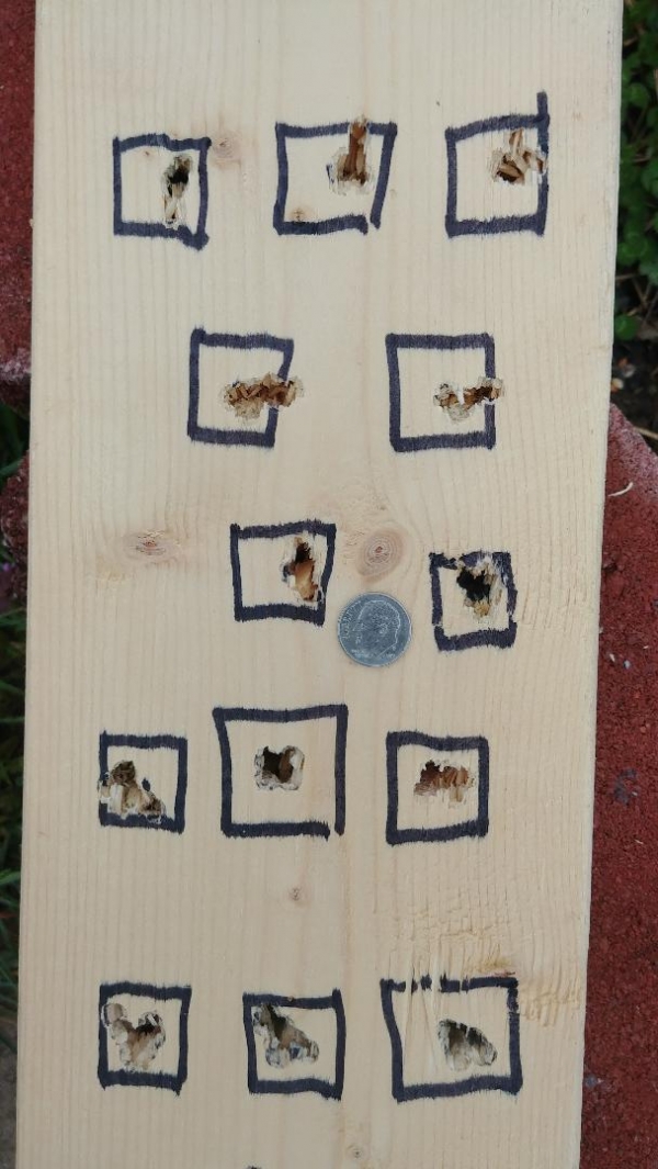 1530737915_2446080205b3d34fbb046d0.16806105_wildcat mk1 .25 targets all 8 shot groups.jpg